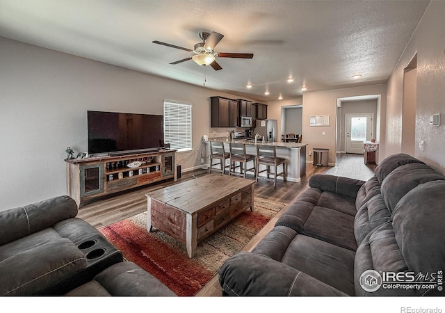 2287 Murray St, Mead, CO 80542 - photo 5