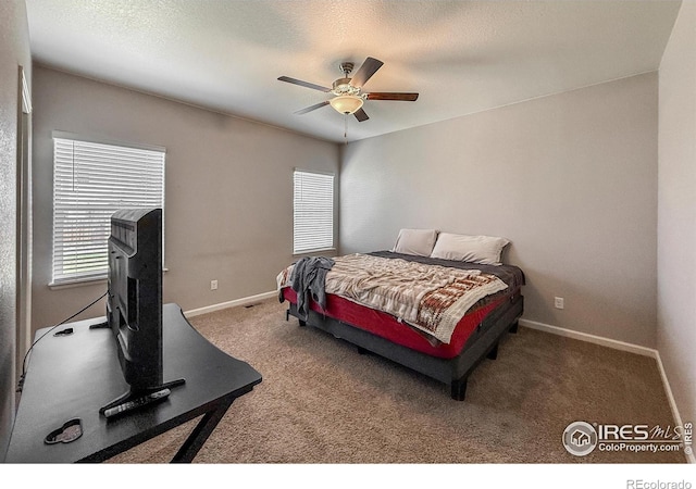 2287 Murray St, Mead, CO 80542 - photo 15