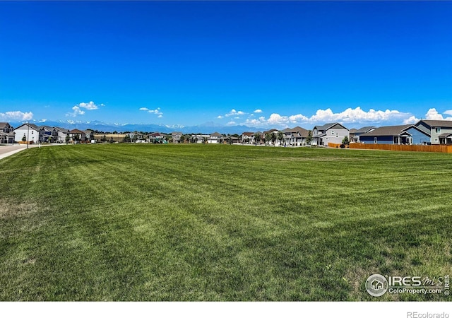 2287 Murray St, Mead, CO 80542 - photo 36