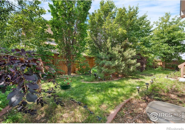 9147 Harlequin Cir, Longmont, CO 80504 - photo 32