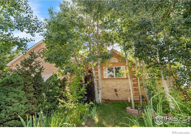 9147 Harlequin Cir, Longmont, CO 80504 - photo 3