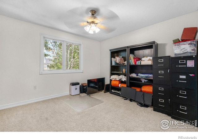 9147 Harlequin Cir, Longmont, CO 80504 - photo 17