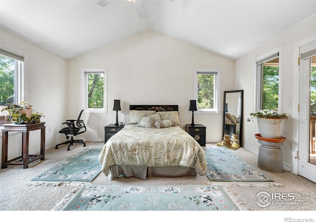 9147 Harlequin Cir, Longmont, CO 80504 - photo 20