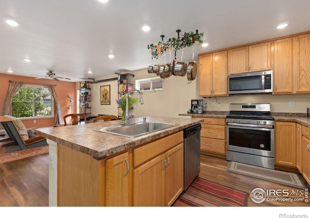 57 Avocet Ct, Longmont, CO 80501