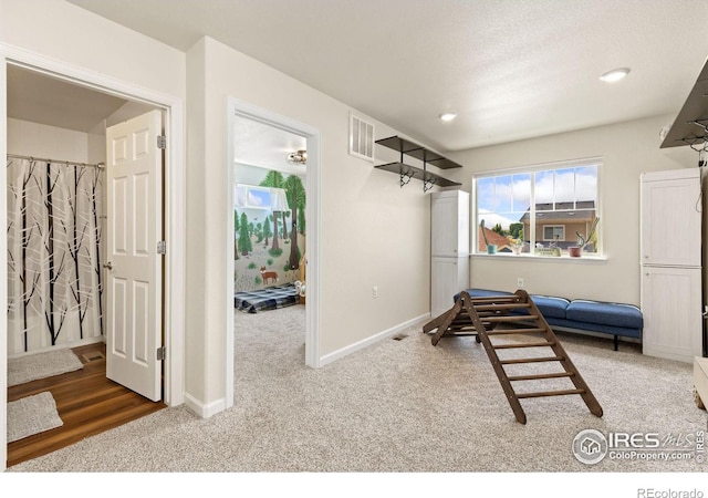 57 Avocet Ct, Longmont, CO 80501