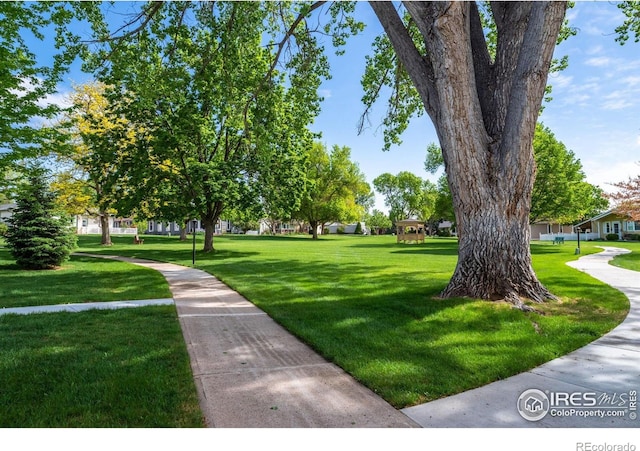 23 Scott Dr N, Broomfield, CO 80020 - photo 27