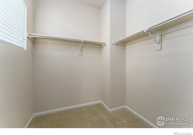 15233 W 65th Ave Unit C, Arvada, CO 80007 - walk in closet with carpet floors