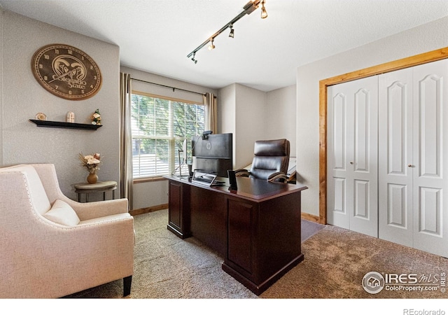 1787 Gore Creek Ct, Windsor, CO 80550 - office space featuring carpet floors and track lighting