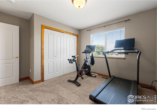 1787 Gore Creek Ct, Windsor, CO 80550 - exercise area featuring carpet and baseboards