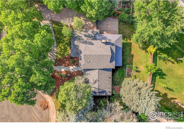 7134 Bonny Brook Ct, Niwot, CO 80503 - photo 37
