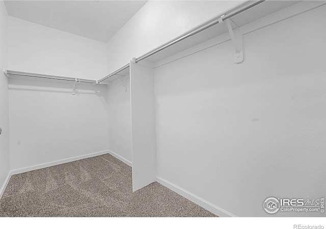 5151 29th St W Unit 204, Greeley, CO 80634 - walk in closet featuring carpet