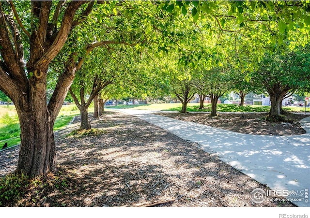 7050 Warren Dr, Denver, CO 80221 - photo 28