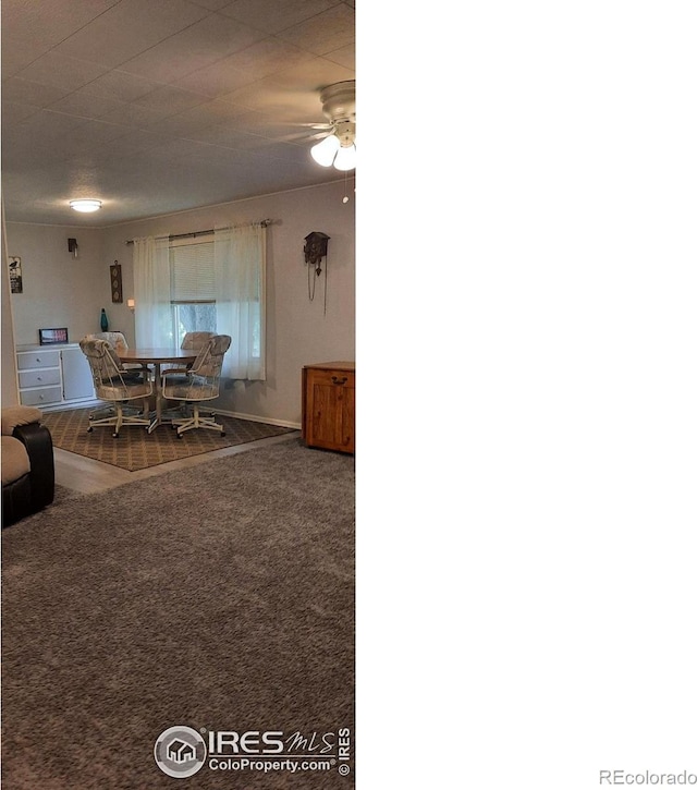 15296 County Road 39, Sterling, CO 80751 - carpeted dining room with a ceiling fan