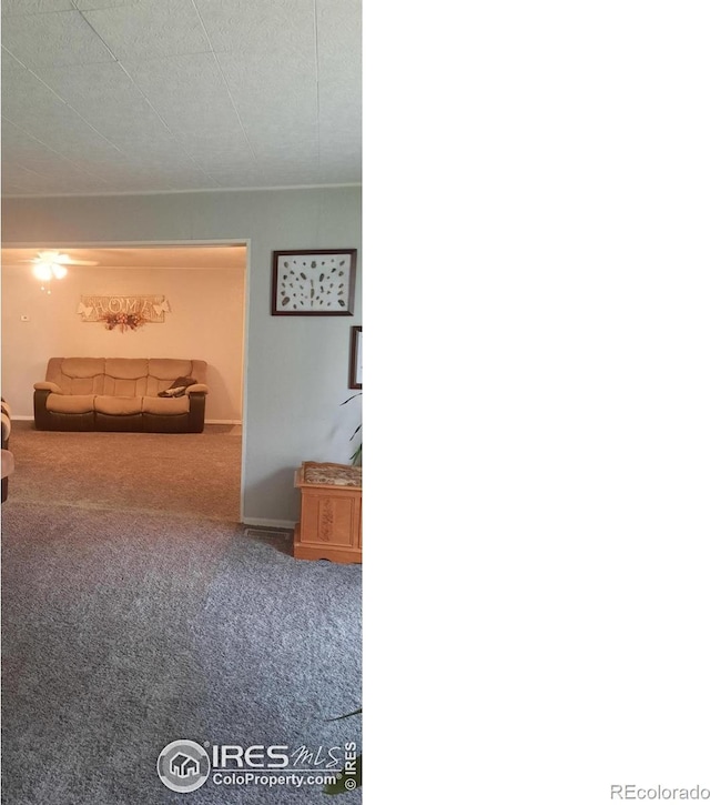 15296 County Road 39, Sterling, CO 80751 - hallway featuring carpet flooring