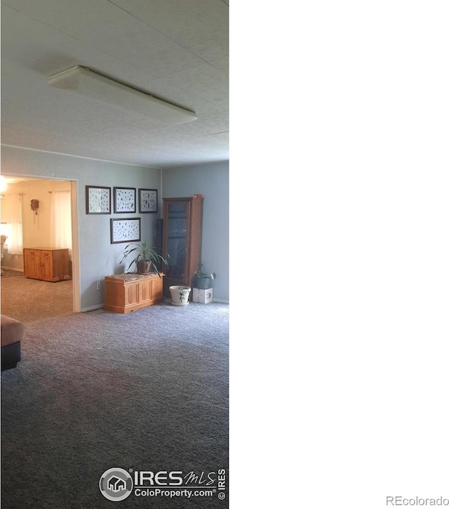 15296 County Road 39, Sterling, CO 80751 - corridor with carpet flooring