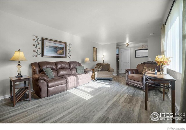 108 40th Ave, Greeley, CO 80634 - living room with wood finished floors