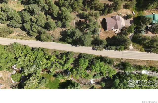 15 Mill St, Jamestown, CO 80455 - photo 17
