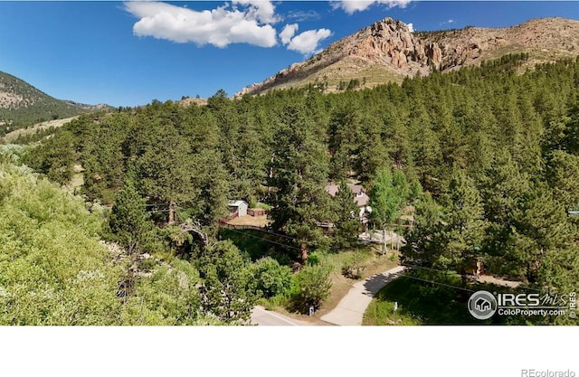 15 Mill St, Jamestown, CO 80455 - photo 18