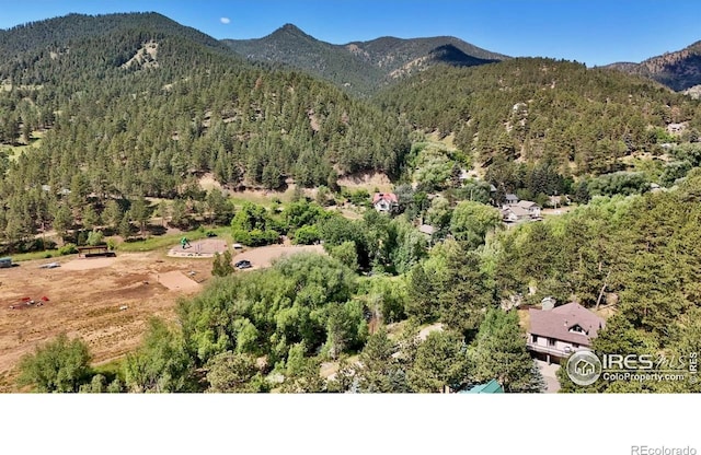 15 Mill St, Jamestown, CO 80455 - photo 19