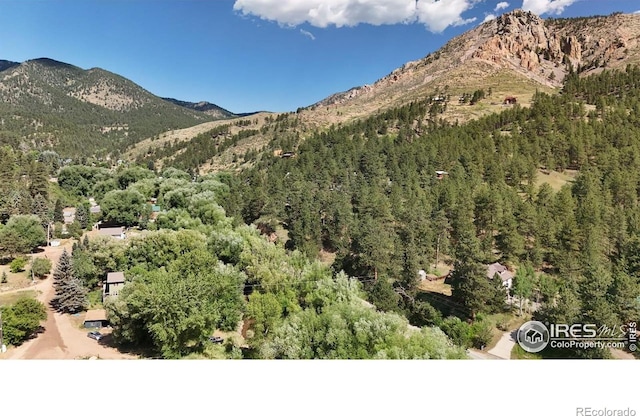 15 Mill St, Jamestown, CO 80455 - photo 20