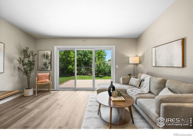 238 S Buchanan Ave, Louisville, CO 80027 - photo 5