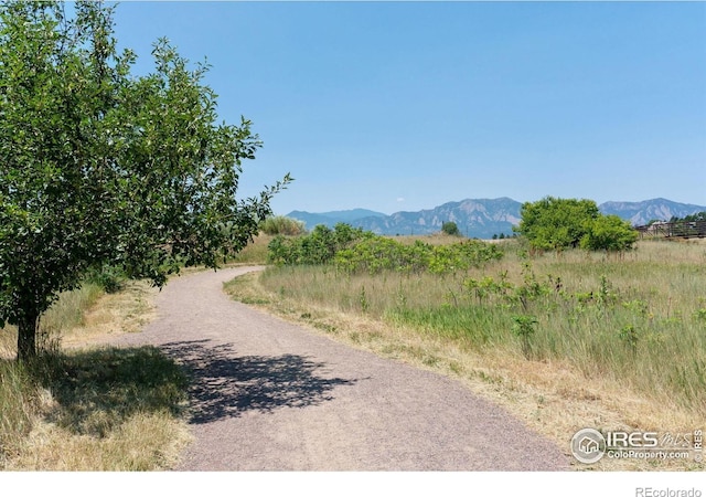 238 S Buchanan Ave, Louisville, CO 80027 - photo 36