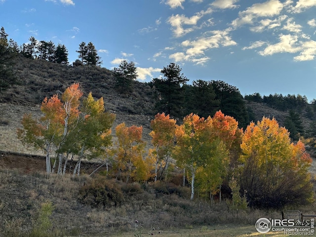 50481 US Highway 285, Grant, CO 80448 - photo 5