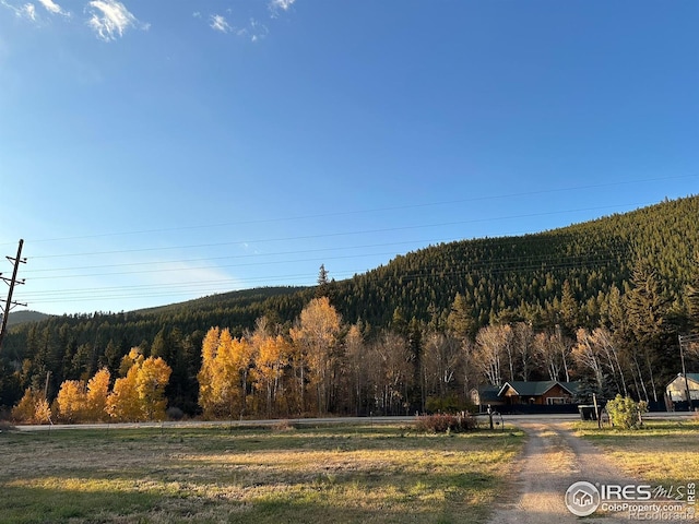 50481 US Highway 285, Grant, CO 80448 - photo 38