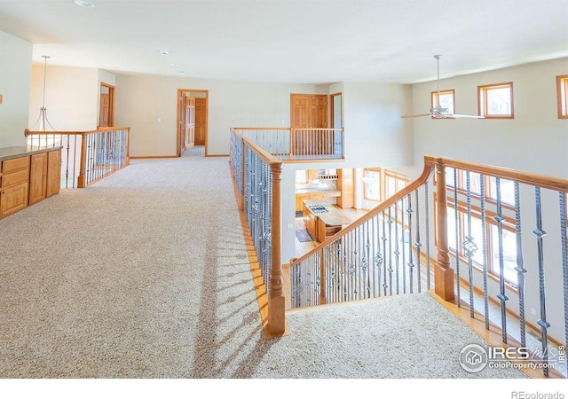 3321 Muskrat Creek Dr, Fort Collins, CO 80528 - photo 24