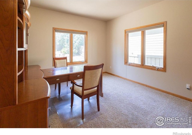 3321 Muskrat Creek Dr, Fort Collins, CO 80528 - photo 27