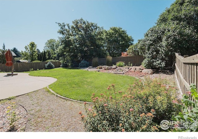 3321 Muskrat Creek Dr, Fort Collins, CO 80528 - photo 36