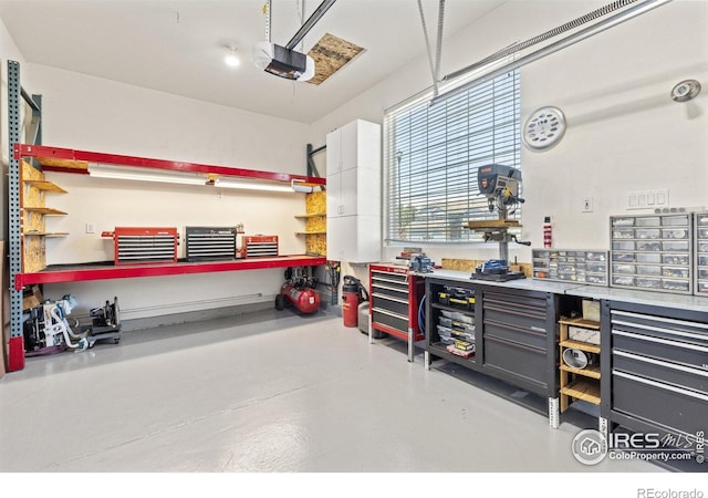 11722 Elmer Linn Dr, Longmont, CO 80504 - garage with a workshop area and a garage door opener