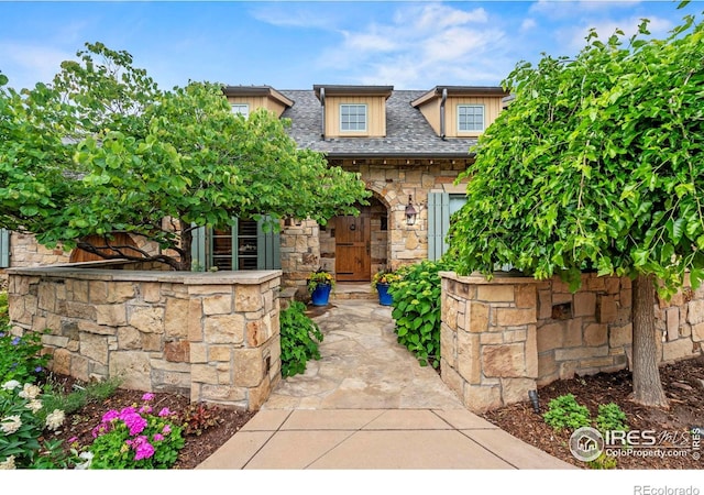 6619 Ridgeline Dr, Timnath, CO 80547 - view of front of property featuring stone siding