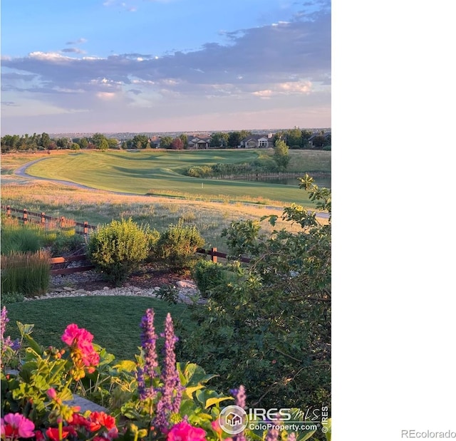 6619 Ridgeline Dr, Timnath, CO 80547 - view of yard with view of golf course