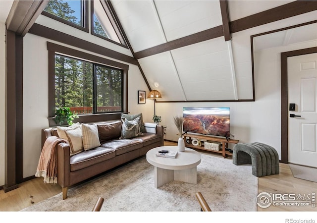 535 Chiricahua Cir, Red Feather Lakes, CO 80545 - photo 5