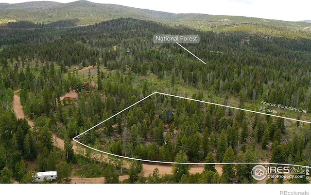 535 Chiricahua Cir, Red Feather Lakes, CO 80545 - photo 22