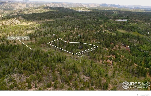 535 Chiricahua Cir, Red Feather Lakes, CO 80545 - photo 23