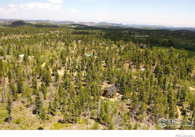 535 Chiricahua Cir, Red Feather Lakes, CO 80545 - photo 24