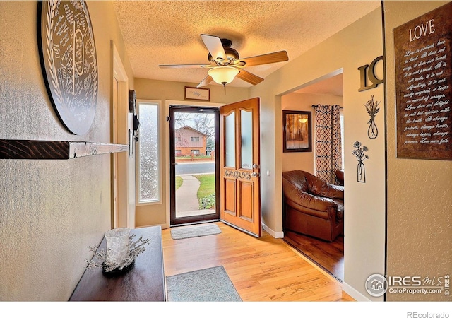 1317 42nd Ave, Greeley, CO 80634 - photo 4