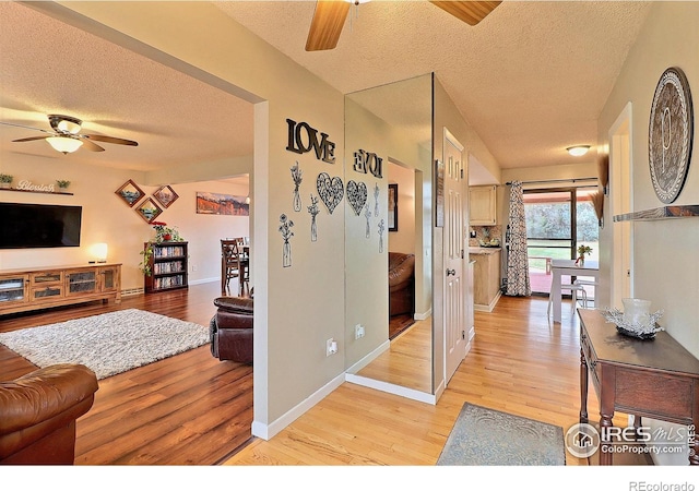 1317 42nd Ave, Greeley, CO 80634 - photo 5