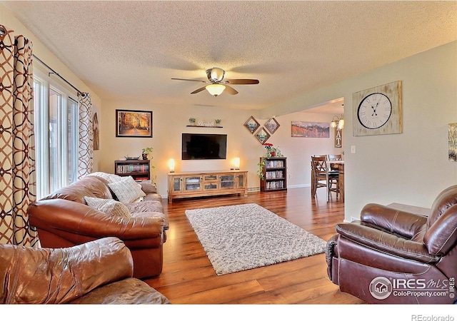 1317 42nd Ave, Greeley, CO 80634 - photo 7