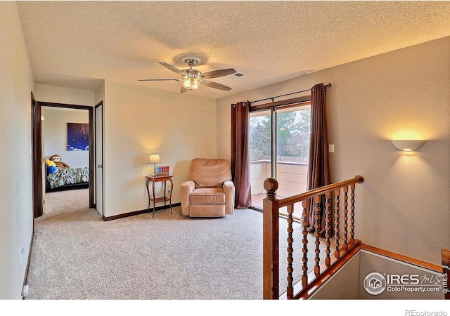 1317 42nd Ave, Greeley, CO 80634 - photo 18