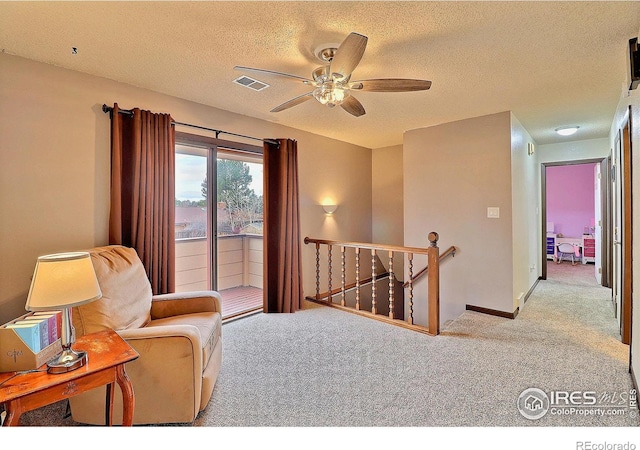 1317 42nd Ave, Greeley, CO 80634 - photo 19