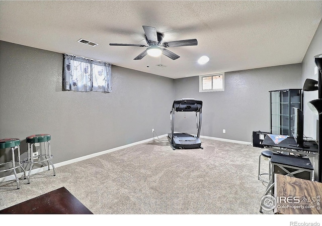 1317 42nd Ave, Greeley, CO 80634 - photo 31