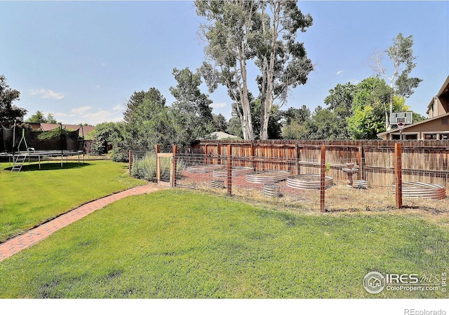 1317 42nd Ave, Greeley, CO 80634 - photo 37