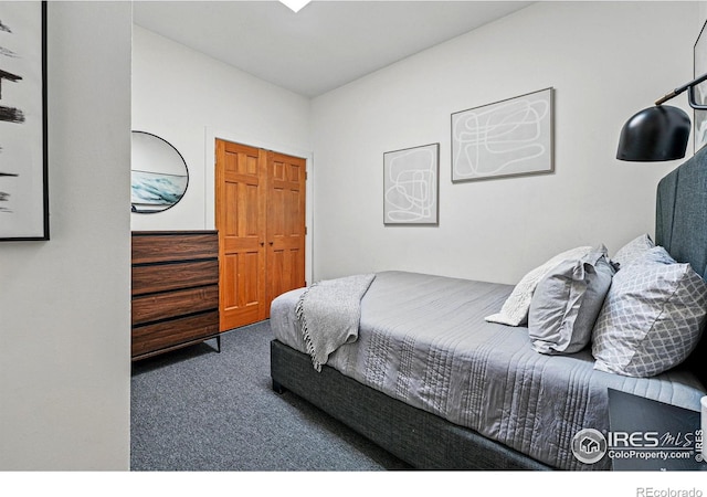2955 Columbine St, Denver, CO 80205 - view of carpeted bedroom