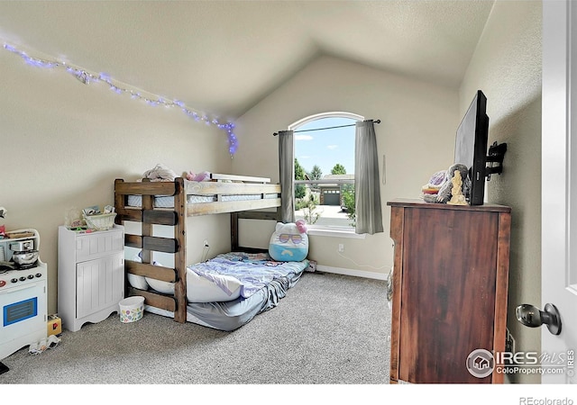 6355 Tongass Ave, Loveland, CO 80538 - photo 7