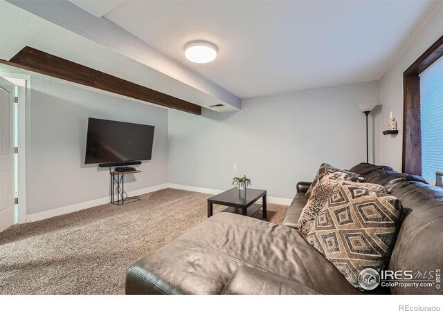 10440 W 83rd Ave, Arvada, CO 80005 - photo 21