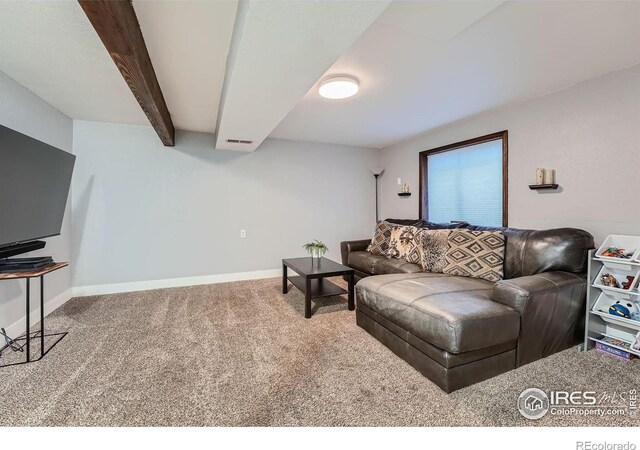 10440 W 83rd Ave, Arvada, CO 80005 - photo 22