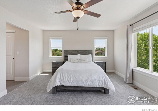 5547 Drake Way, Frederick, CO 80504 - photo 17